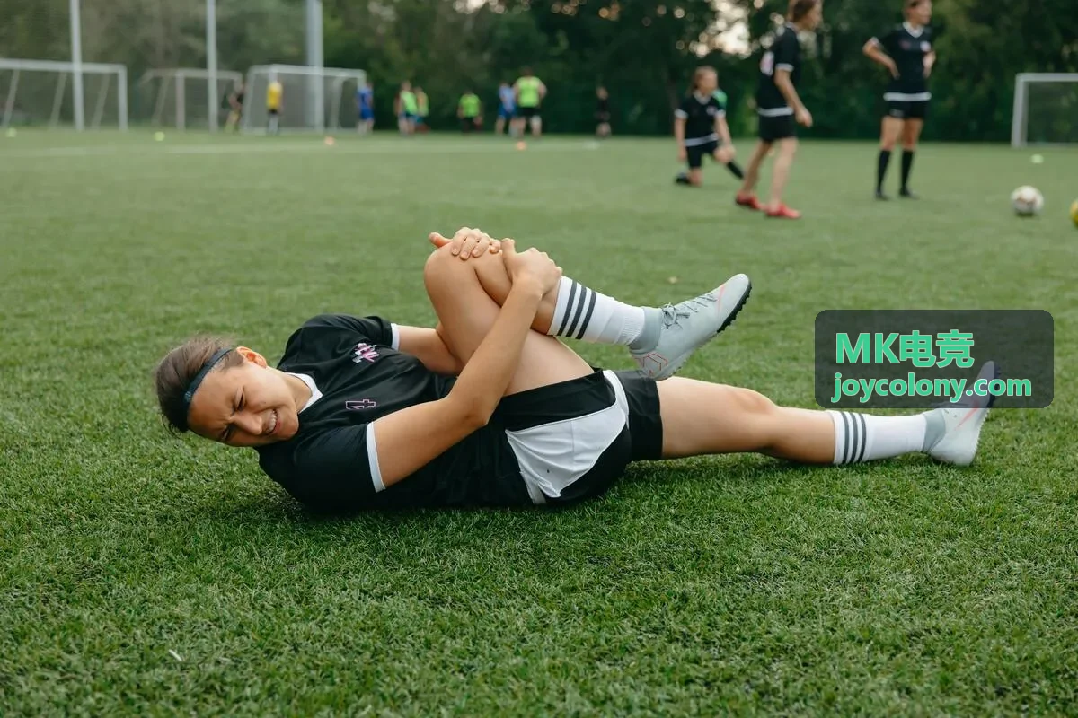 MK电竞数据接口方案