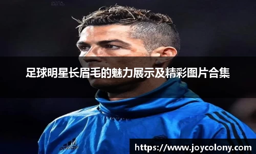 Vsports胜利因您更精彩