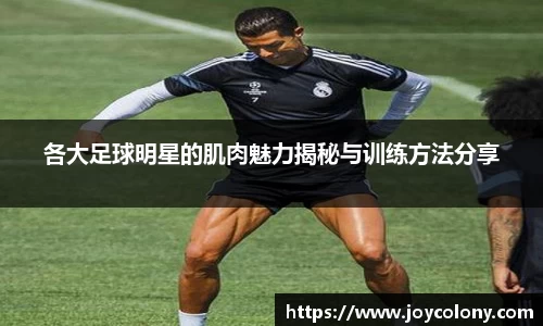 各大足球明星的肌肉魅力揭秘与训练方法分享